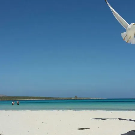 Tanca Manna - Porto Nuovo 빌라